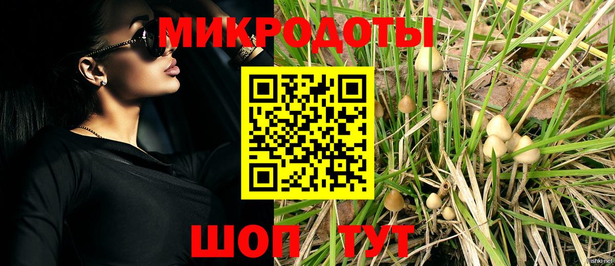 Псилоцибиновые грибы Psilocybine cubensis  Вход с VPN  Гусь-Хрустальный  Псилоцибиновые грибы прущие грибы 